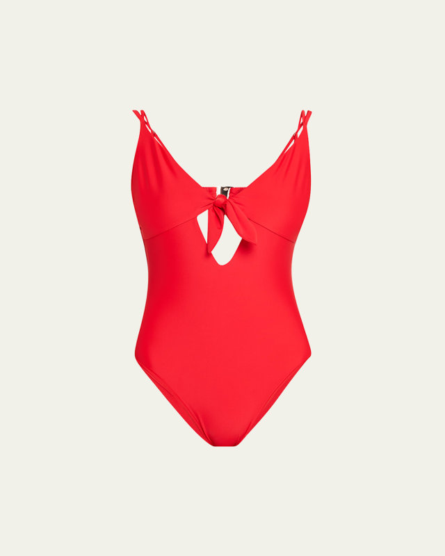 Nichelle One-Piece Swimsuit